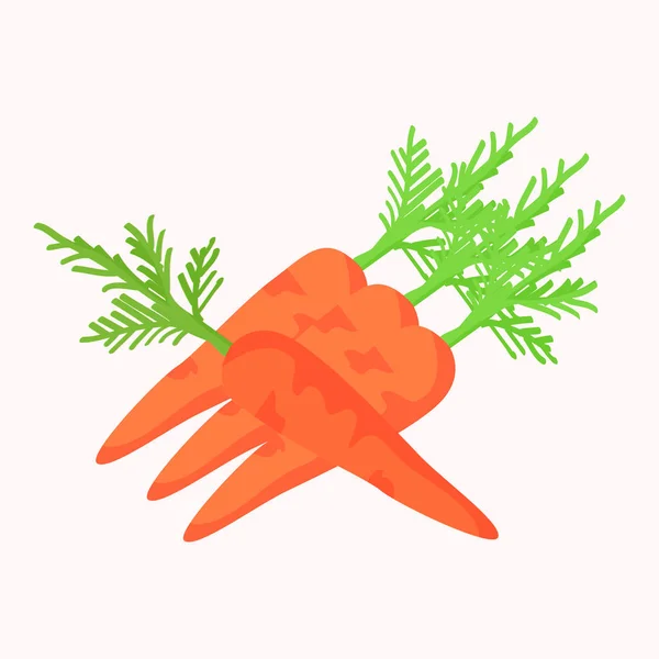 Морковь с зелеными листьями, изолированными на белом векторе — стоковый вектор