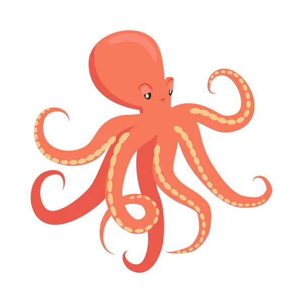 Červená chobotnice kreslený ploché vektorové ilustrace — Stockový vektor