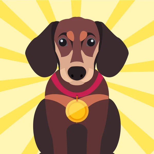 Brown Dachshund Close-up with Gold Medal on Neck — Stock Vector