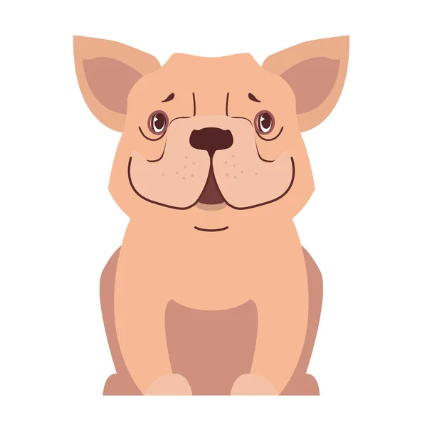 Cute small dog cartoon flat vector icon — Stock Vector