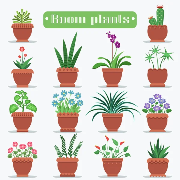 Plantas decorativas en macetas de arcilla Ilustraciones — Vector de stock