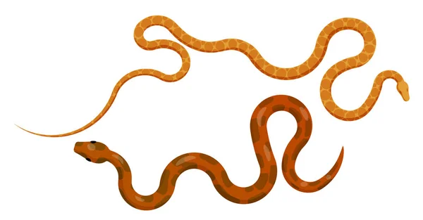 Slither vermelho e laranja Pythons Top View Vector —  Vetores de Stock