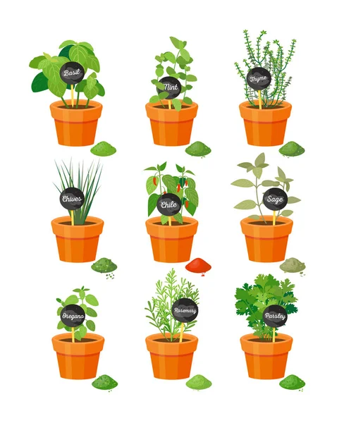 Set de hierbas útiles en macetas marrones con etiquetas — Vector de stock