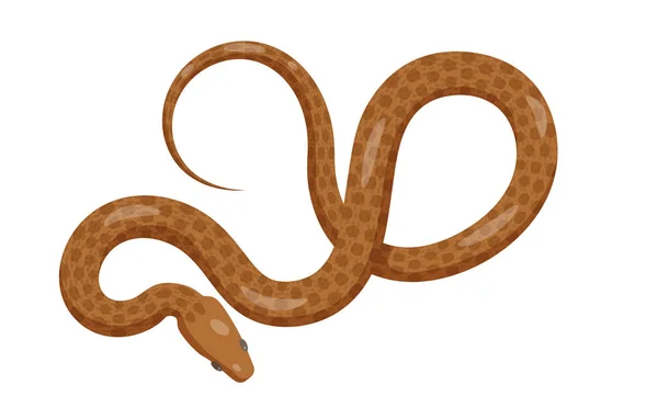 Icona vettoriale Slither Brown Python Snake vista dall'alto — Vettoriale Stock