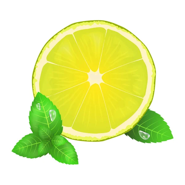 Jugoso limón o lima y hojas de menta icono — Vector de stock