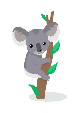 Koala karikatür düz vektör çizim