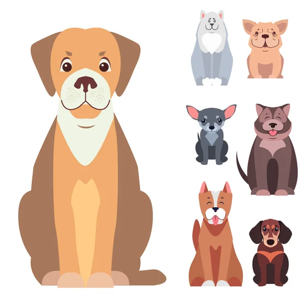 Lindo pura raza perros dibujos animados planos vectores iconos conjunto — Vector de stock