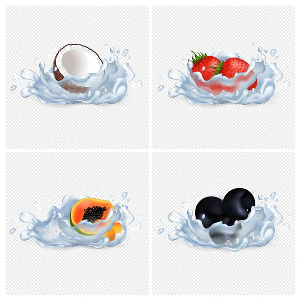 Noix de coco, fraise, papaye, mûre dans l'eau — Image vectorielle