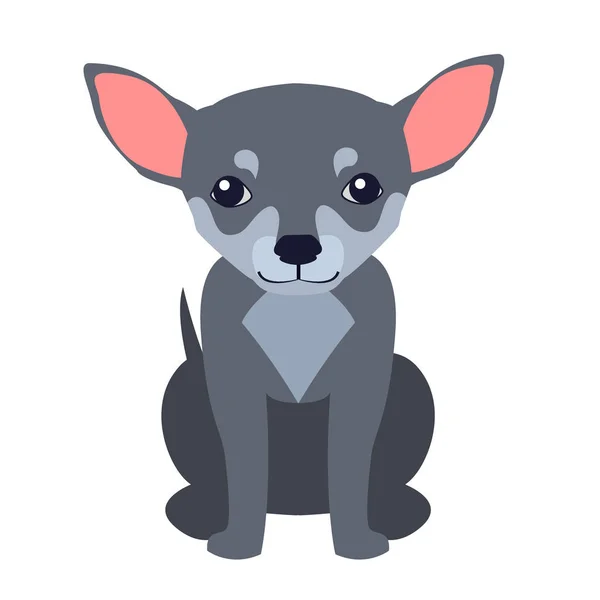 Cute Chihuahua Dog Cartoon Flat Vector Icon — Stock Vector