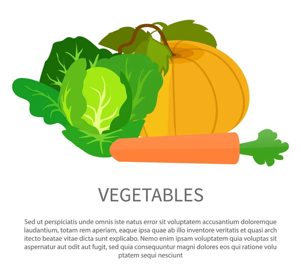 Cartel de verduras con calabaza, col y zanahoria — Vector de stock