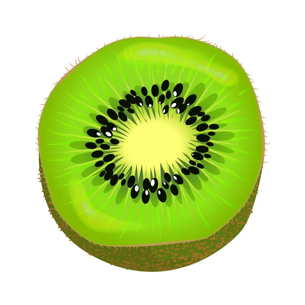 Elemento colorido medio aislado de la fruta fresca de Kiwi — Vector de stock