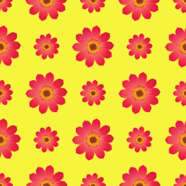 Dahila çiçeği ile Seamless Modeli izole