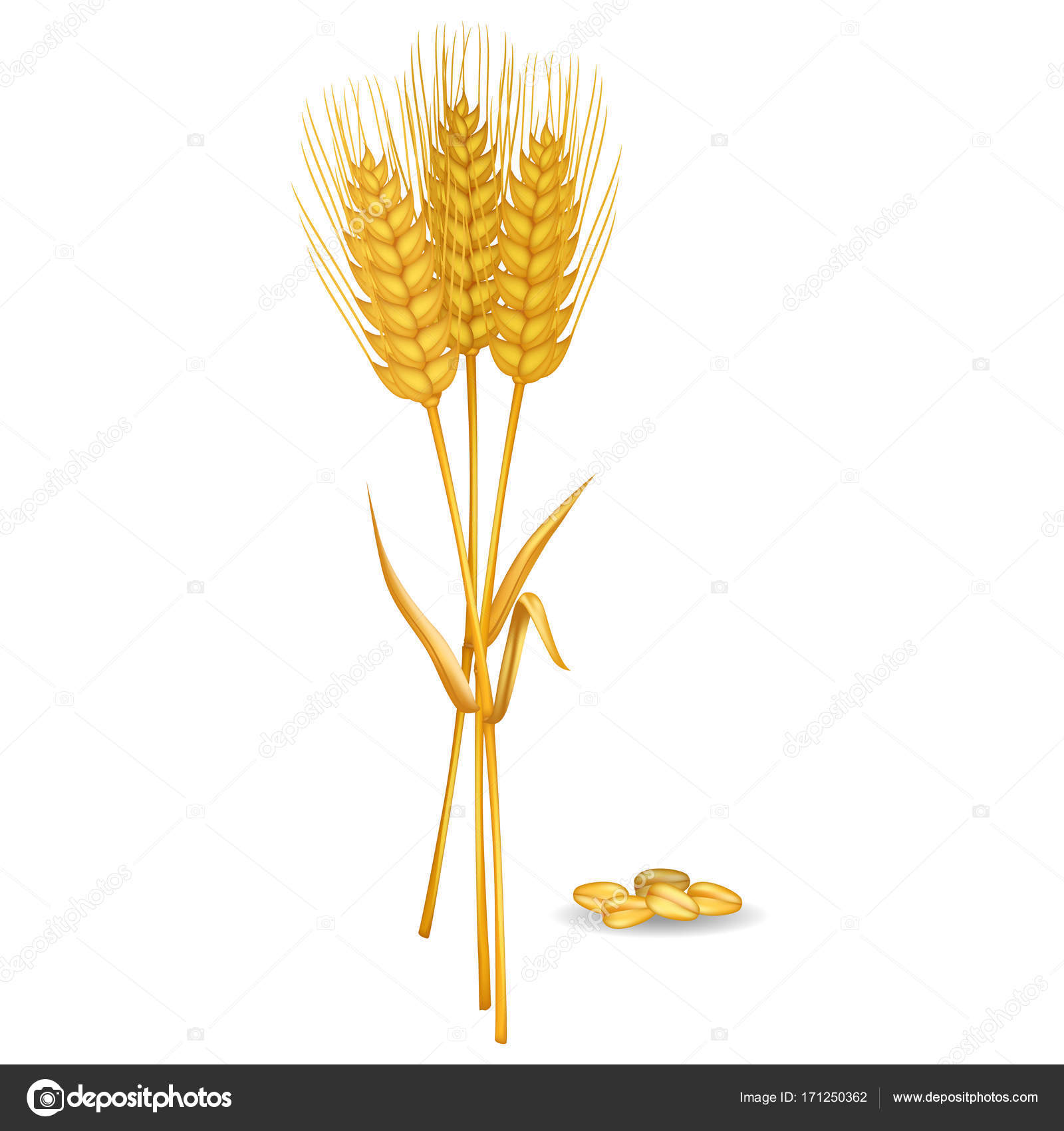 27 Die Besten Malvorlagen Brot Und Ahren | Beste Malvorlagen