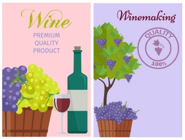Şarap 100 Premium Kalite promosyon posteri