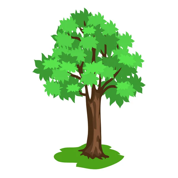 Albero verde con ampi brunch e tronco marrone — Vettoriale Stock