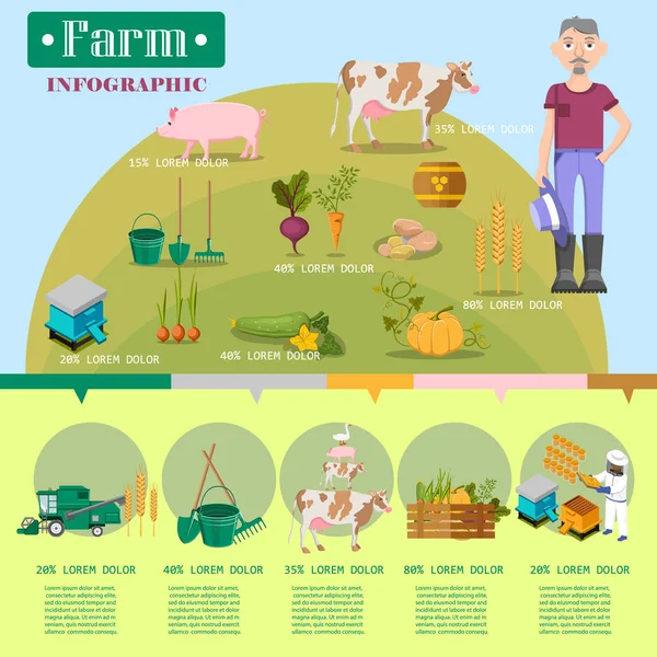 Infografía del estilo de vida de la granja Cartel colorido del vector — Vector de stock