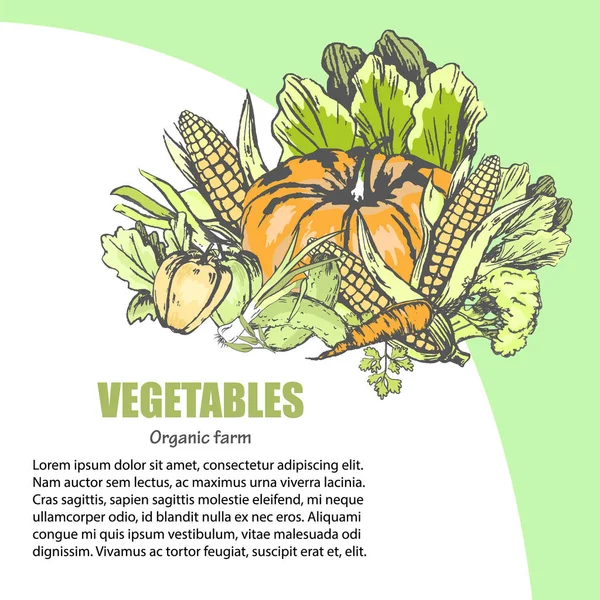 Assortimento di verdure fresche con informazioni di testo — Vettoriale Stock