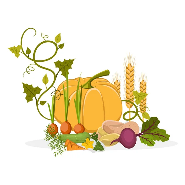 Récolte riche de délicieux légumes et plantes — Image vectorielle