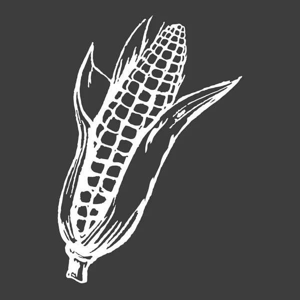 Sabrosa mazorca de maíz maduro aislado silueta blanca — Vector de stock