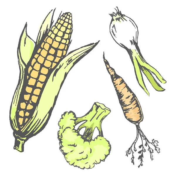 Gemüse nach dem Zufallsprinzip in der Grafikdesign-Kollektion — Stockvektor