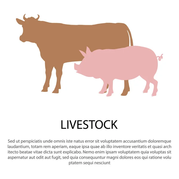Cartel de ganado con siluetas de cerdo rosa y vaca — Vector de stock
