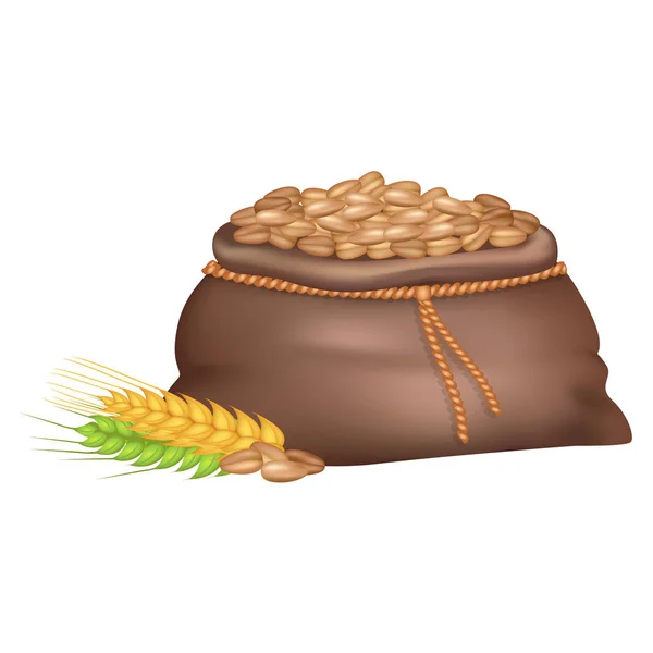 Seigle en sac près des oreilles de blé et de millet sur blanc — Image vectorielle