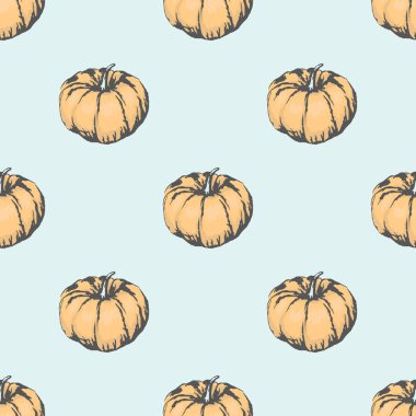 Seamless Modeli büyük olgun kabak çizimde