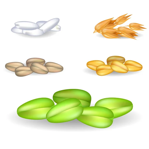 Grains biologiques en petits tas Illustrations Set — Image vectorielle