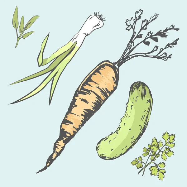 Zanahoria crujiente, pepino verde y verduras frescas — Vector de stock