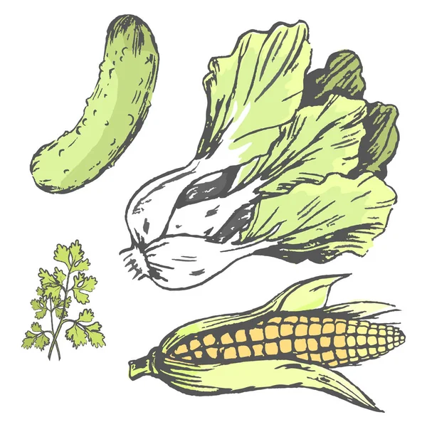 Λαχανικά σε τυχαία πολύχρωμη εικονογράφηση — Διανυσματικό Αρχείο