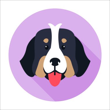 Bernese dağ köpeği düz tasarım köpek yüz