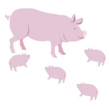 Pembe domuz ve üzerinde beyaz izole domuzcukları vektör