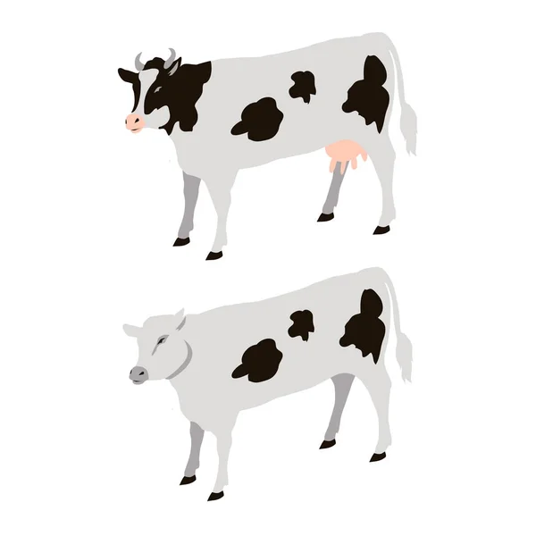 White Cows with Black Sports Vector Illustration — Stock Vector