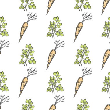 Sağlıklı havuç ve maydanoz Seamless Modeli fışkın