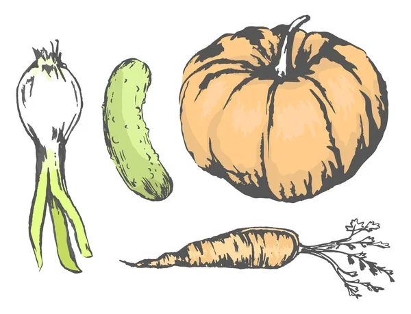 Νόστιμα και υγιεινά λαχανικά εικονογραφήσεις σετ — Διανυσματικό Αρχείο