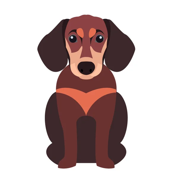 Cute Dachshund Dog Cartoon Flat Vector Icon — Stock Vector