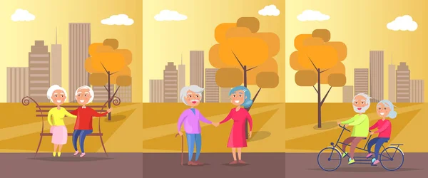 Olgun çiftler bayrağı parkta yaşlı insanlar vektör — Stok Vektör