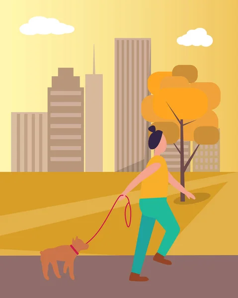 Девушка гуляющая собака в парке на векторной иллюстрации — стоковый вектор