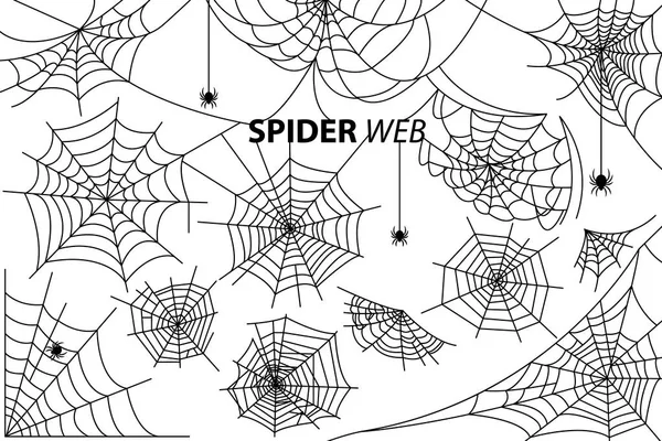 Spider Web Collection of Illustrations on White — Stock Vector