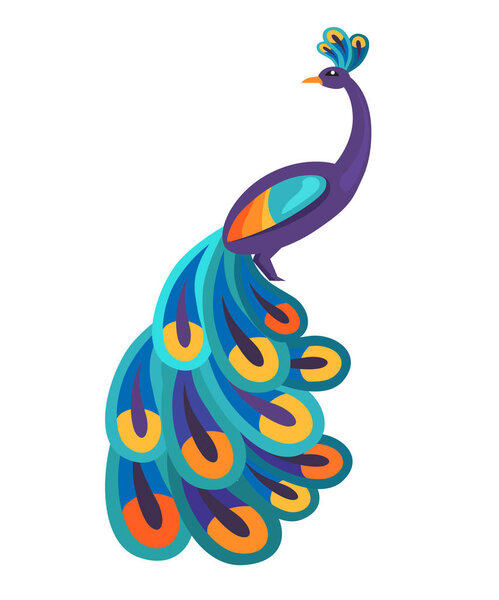 Peacock with Bright Feathers Isolated Illustration