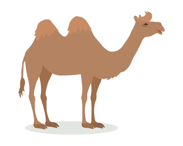 Бактрианская икона верблюжьего мультфильма в плоском дизайне — стоковый вектор