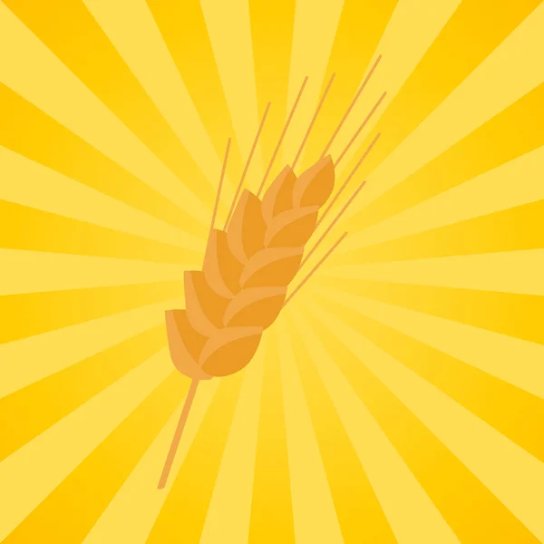 Öra korn-bärande spets del av stammen av spannmål växt — Stock vektor