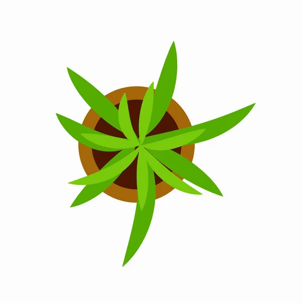 Grüne Pflanze im Topf Icon Vektor Illustration — Stockvektor