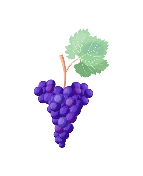 Icono de uvas maduras rojas en la ilustración vectorial — Archivo Imágenes Vectoriales