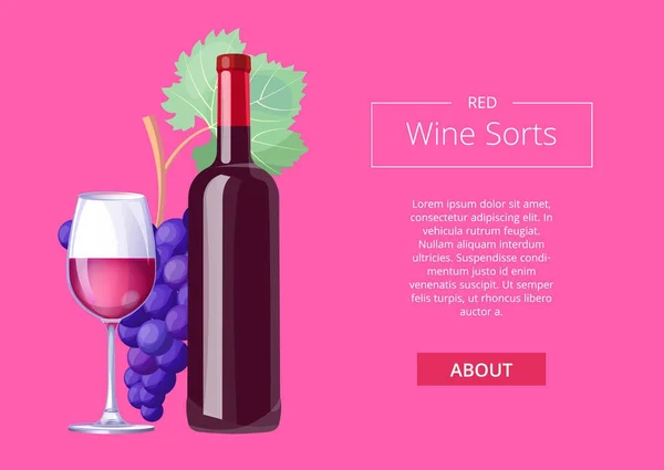赤ワイン種類 Web ベクトル図のページ — ストックベクタ
