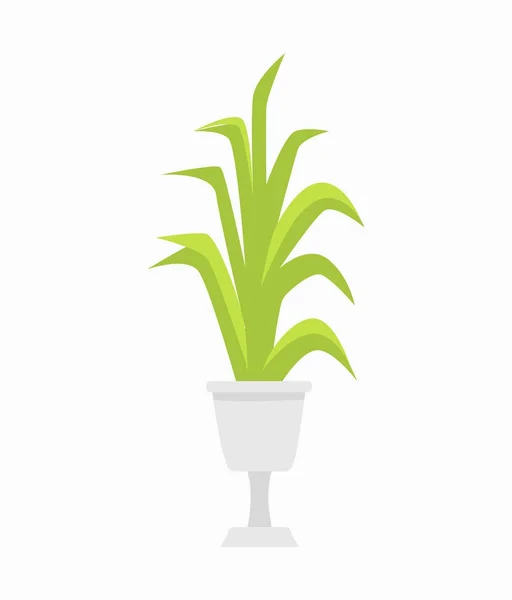 Green Plant in White Pot on Vector Illustration — Stock Vector