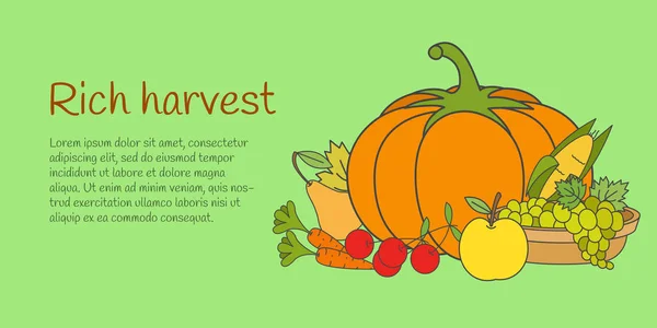 Banner de cosecha rica con frutas y verduras — Vector de stock