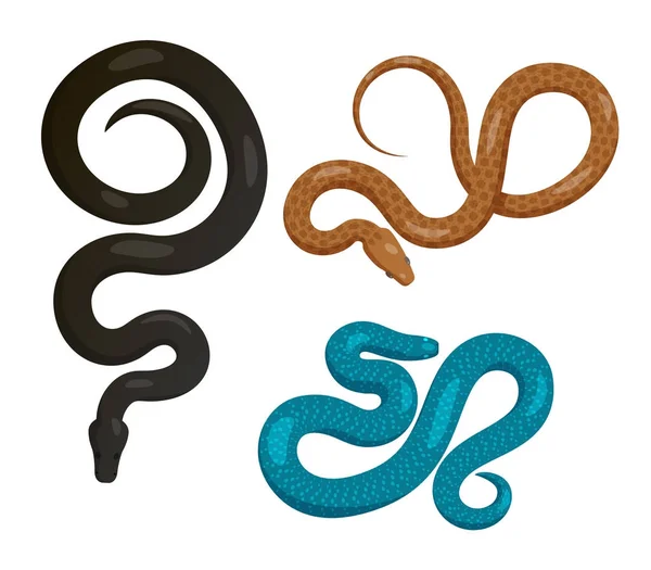 Slither Snakes conjunto de iconos de vectores de vista superior — Vector de stock