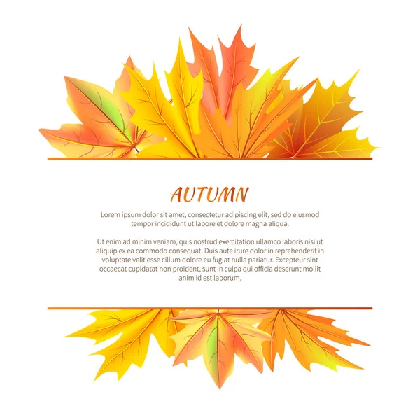 Autumn Background with Bunch Maple Leaves Vector — Stock Vector