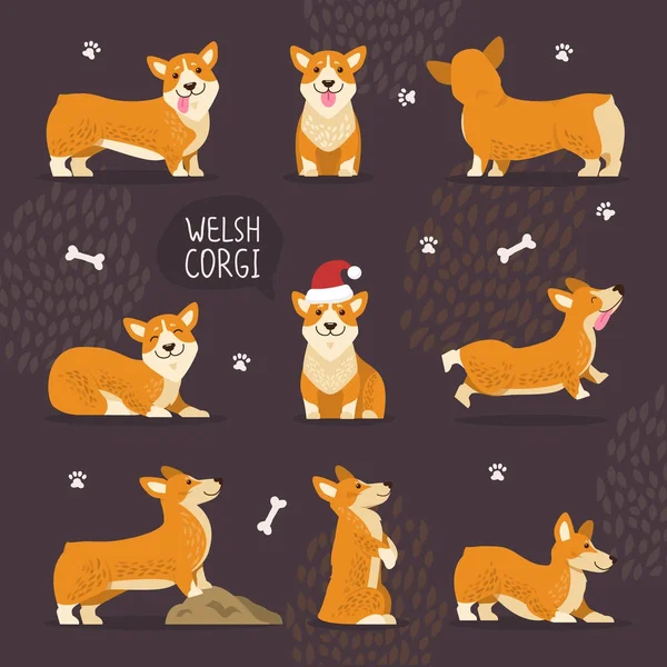 Bedårande Welsh Corgi hundar med gul päls Set — Stock vektor